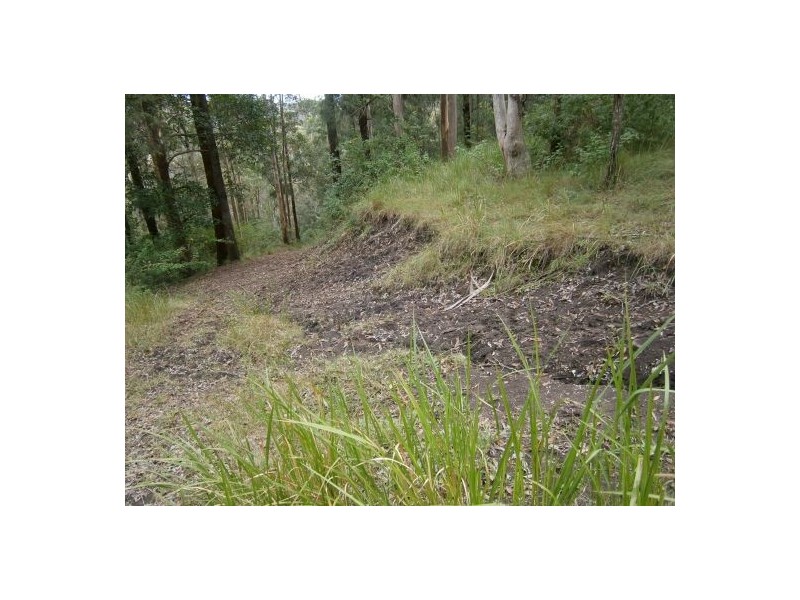 Lot 1 Mills Rd, Old Bonalbo NSW 2469