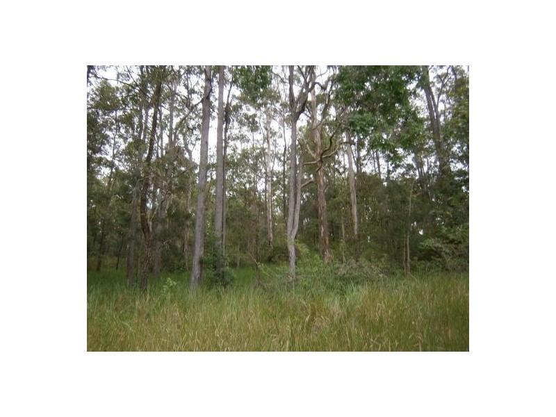 Lot 1 Mills Rd, Old Bonalbo NSW 2469