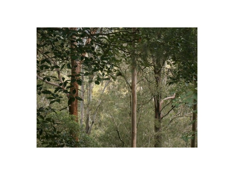 Lot 1 Mills Rd, Old Bonalbo NSW 2469