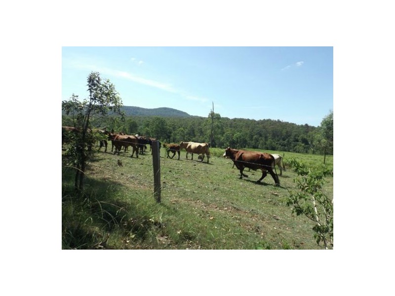 Lot 1 Mills Rd, Old Bonalbo NSW 2469