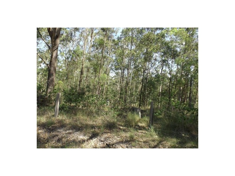 Lot 1 Mills Rd, Old Bonalbo NSW 2469