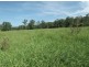 Lot 1 Mills Rd, Old Bonalbo NSW 2469