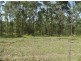 Lot 1 Mills Rd, Old Bonalbo NSW 2469