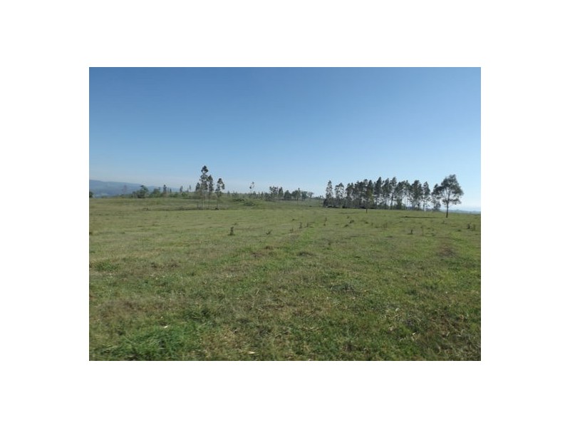 60 Nicholls, Mummulgum NSW 2469