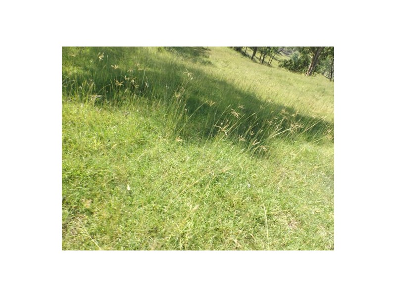 60 Nicholls, Mummulgum NSW 2469