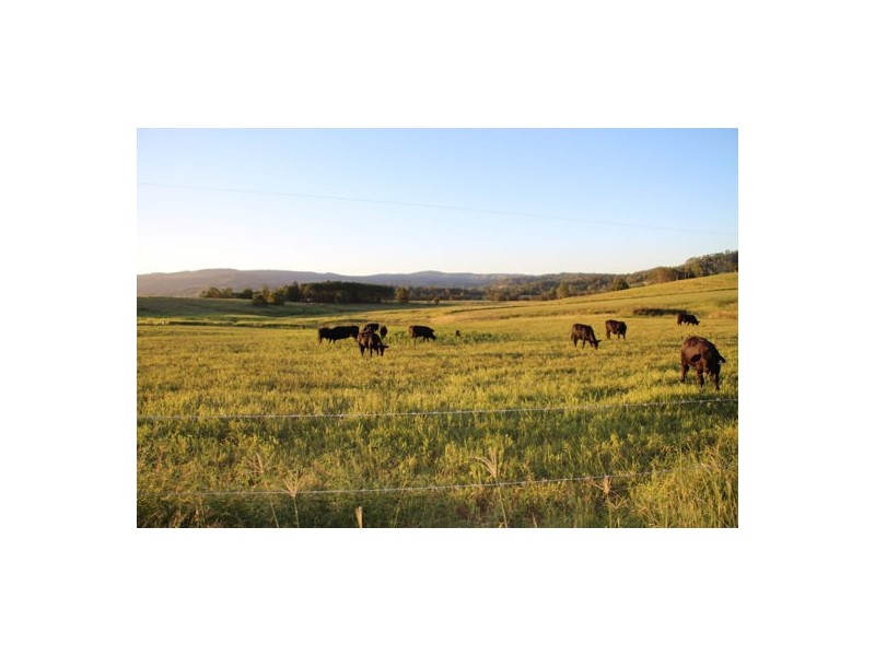 60 Nicholls, Mummulgum NSW 2469