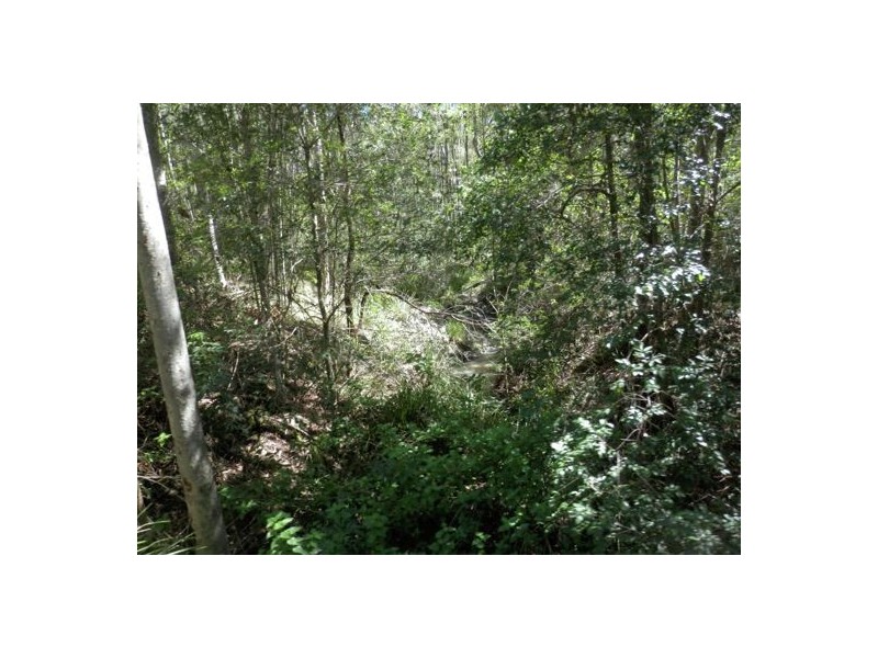 208 Mud Flat Rd, Drake NSW 2469