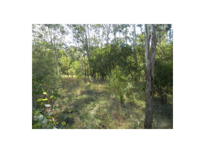 Fairfield Street, Drake NSW 2469