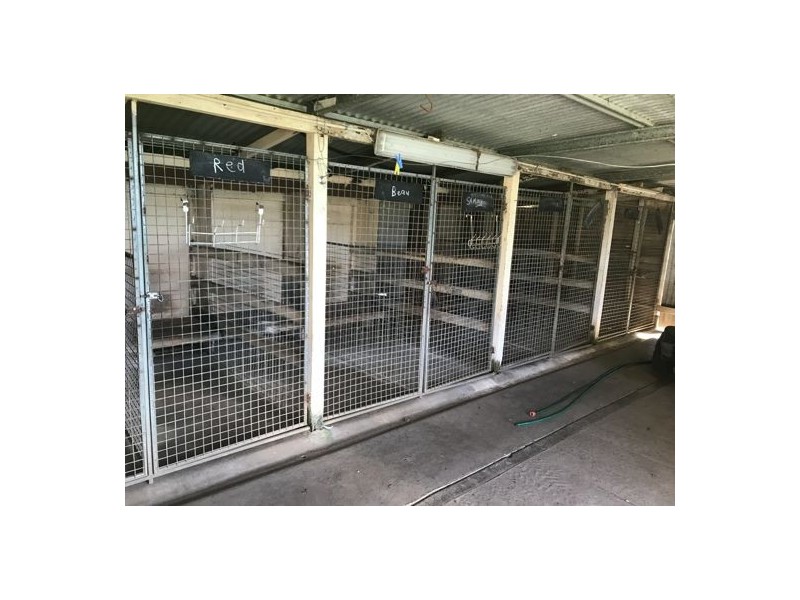 695 Reynolds Road Backmede, Casino NSW 2470