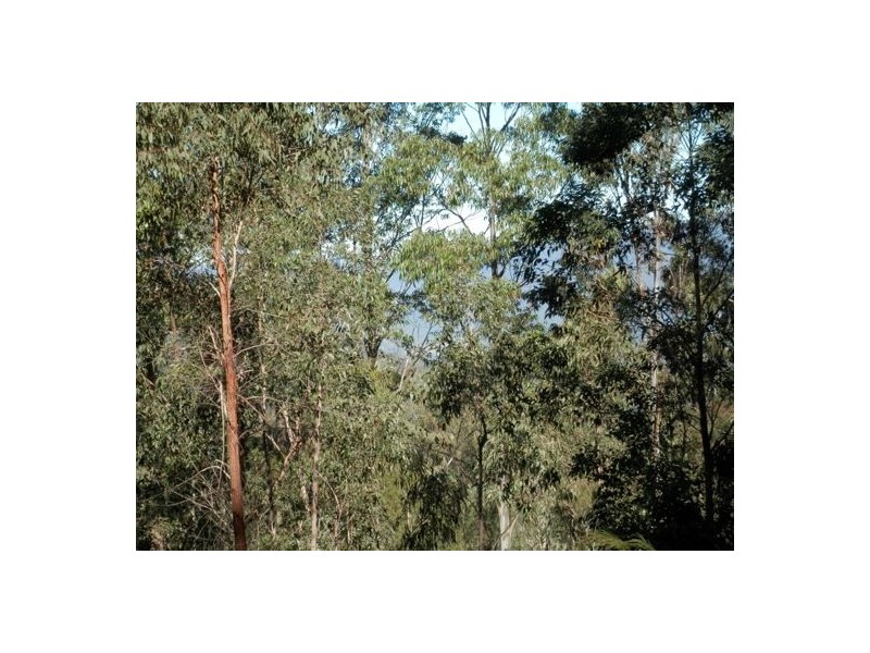 911 Long Gully Rd, Drake NSW 2469