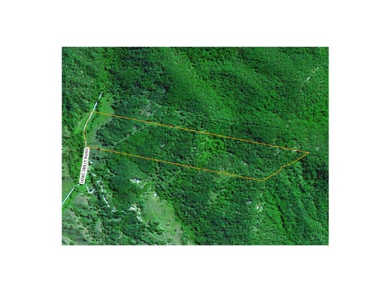 911 Long Gully Rd, Drake NSW 2469