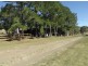 217 Imesons Road, Ettrick NSW 2474