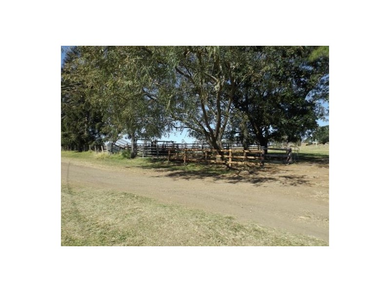 217 Imesons Road, Ettrick NSW 2474