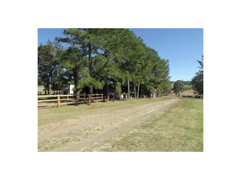 217 Imesons Road, Ettrick NSW 2474