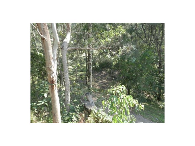 913 Long Gully Rd, Drake NSW 2469