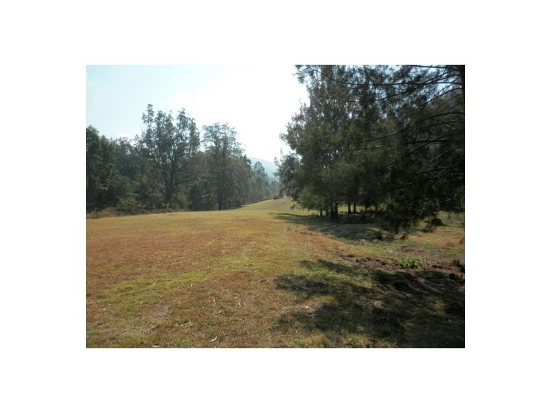 913 Long Gully Rd, Drake NSW 2469