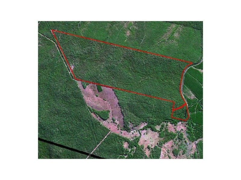 LOT 30-33 1088 Old Tenterfield Road, Rappville NSW 2469