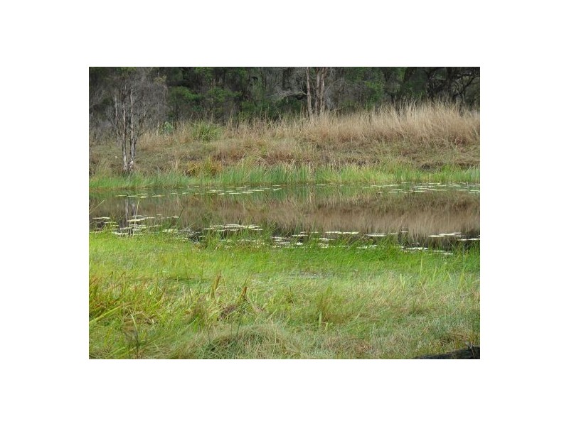 Lot 37 Old Tenterfield Rd, Rappville NSW 2469