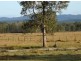 Lot 37 Old Tenterfield Rd, Rappville NSW 2469