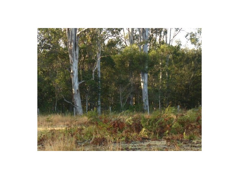 Lot 37 Old Tenterfield Rd, Rappville NSW 2469