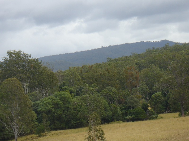 Mount Marsh NSW 2469