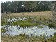 Mount Marsh NSW 2469
