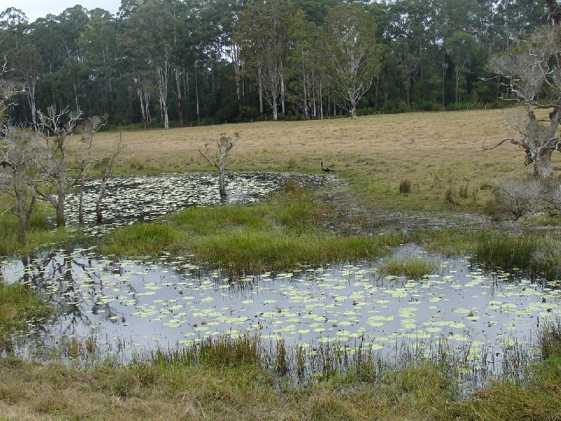 Mount Marsh NSW 2469