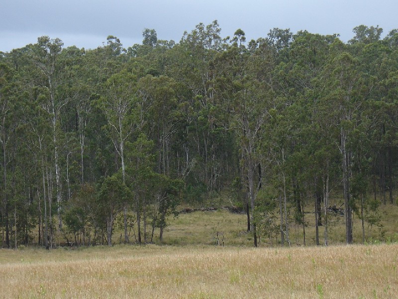 Mount Marsh NSW 2469