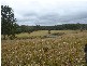 Mount Marsh NSW 2469