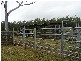 Mount Marsh NSW 2469