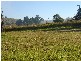 Lot 71 2-10  Sandilands street, Mallanganee NSW 2469