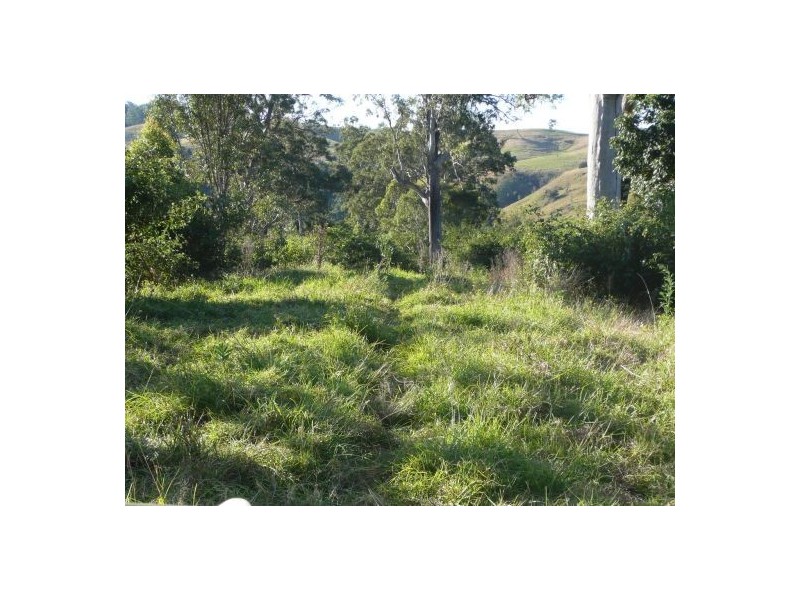 Lots 10 & 13 Wyndham Creek Road, Kyogle NSW 2474