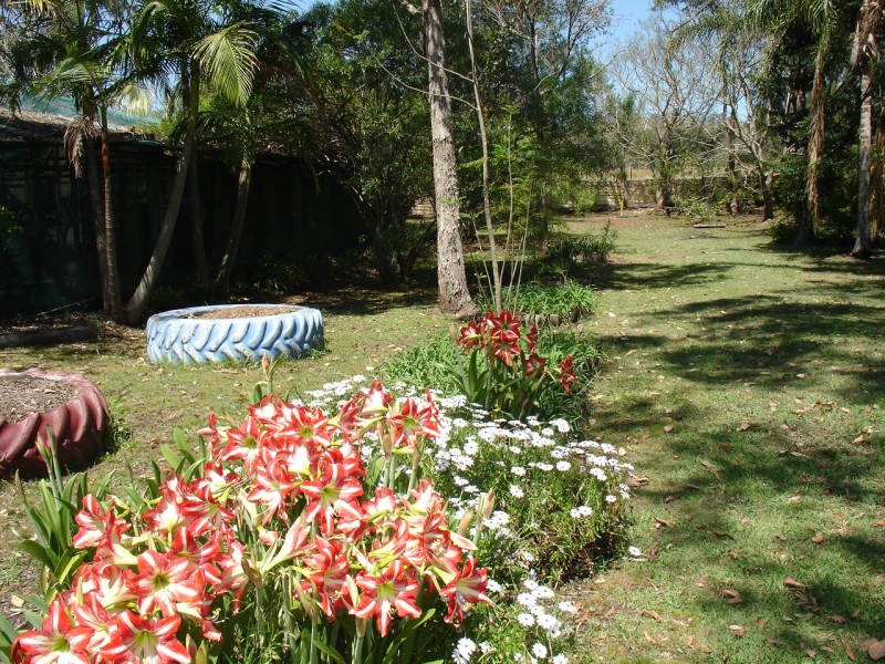 Mummulgum NSW 2469