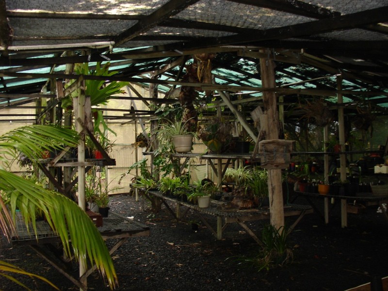 Mummulgum NSW 2469