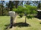 Tabulam NSW 2469