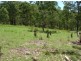 Tabulam NSW 2469