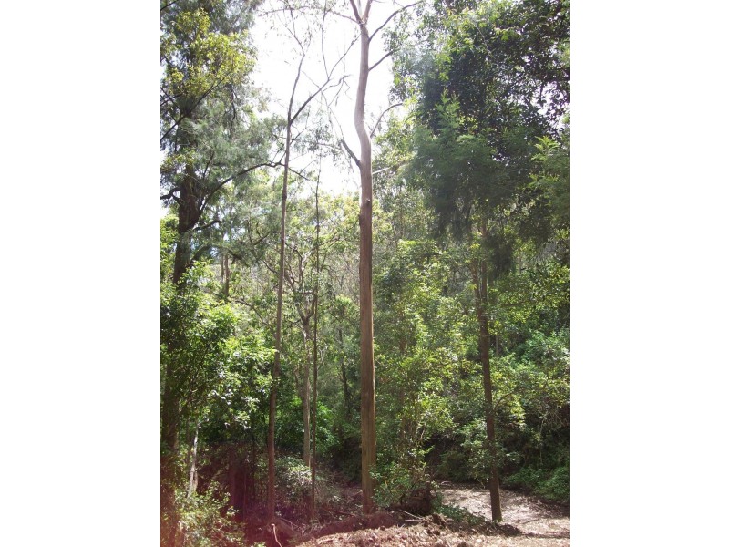 Hanging Rock NSW 2340