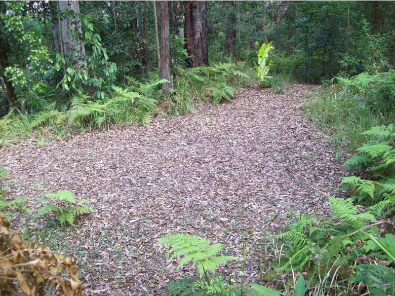 Hanging Rock NSW 2340