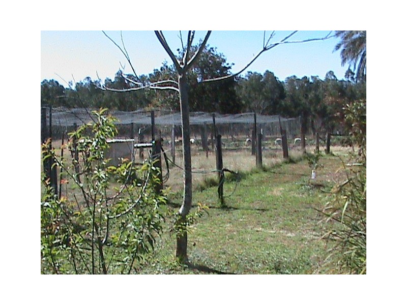 Doubtful Creek NSW 2470