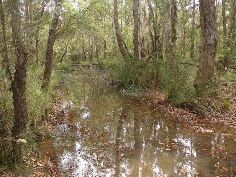 Myrtle Creek NSW 2469