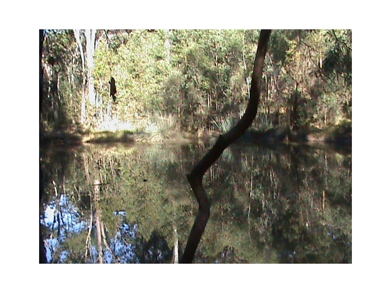 Myrtle Creek NSW 2469