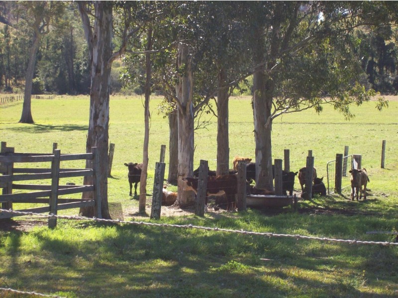 Kyogle NSW 2474