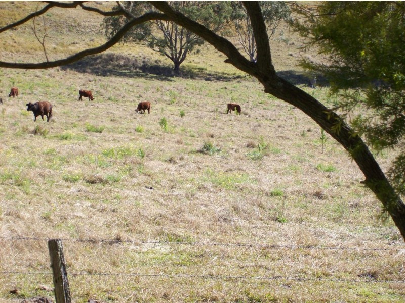 Kyogle NSW 2474