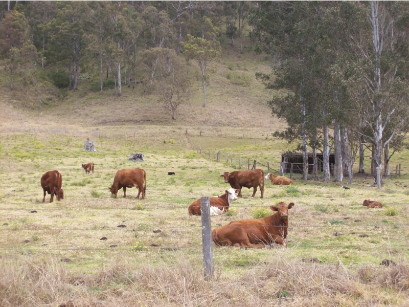 Kyogle NSW 2474