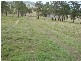 Lismore NSW 2480