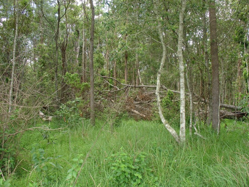 Myrtle Creek NSW 2469