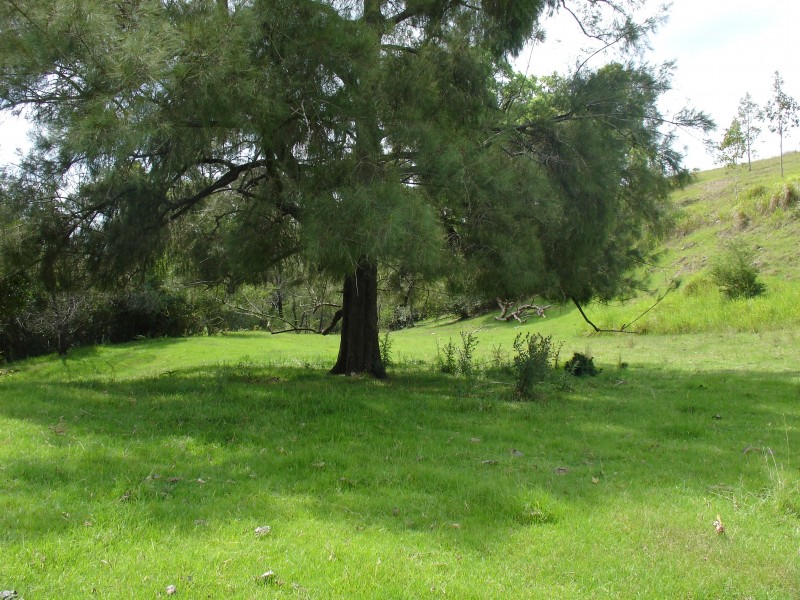 Tabulam NSW 2469