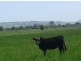39 Walsh Lane, Lismore NSW 2480