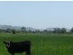 39 Walsh Lane, Lismore NSW 2480