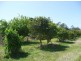 39 Walsh Lane, Lismore NSW 2480